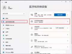 Win11打印机无法打印解决方法？Win11打印机无法打印处理办法