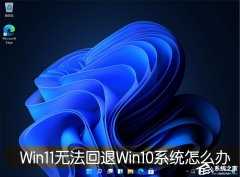 Win11退回正版Win10怎么操作？Win11回退Win10教程