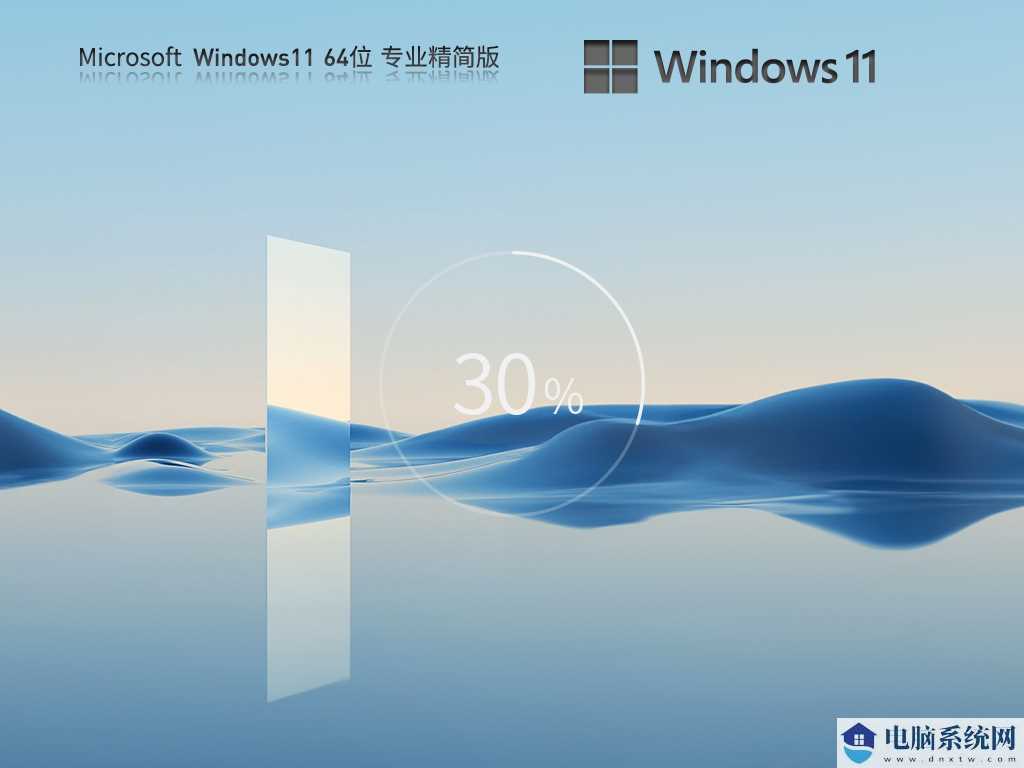 Windows11 22H2 64位 专业精简版 V2023年8月