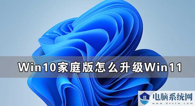 Win10家庭版怎么升级Win11 两种方法从Win10家庭版升级到Win11