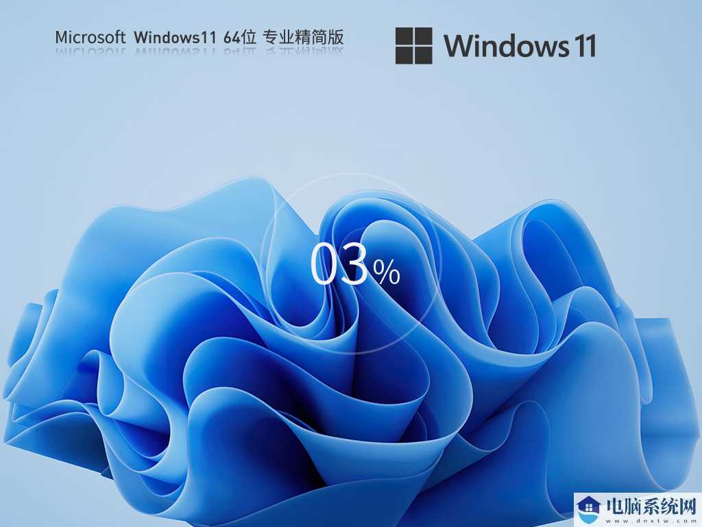Windows11 22H2 64位 专业精简版 V2023