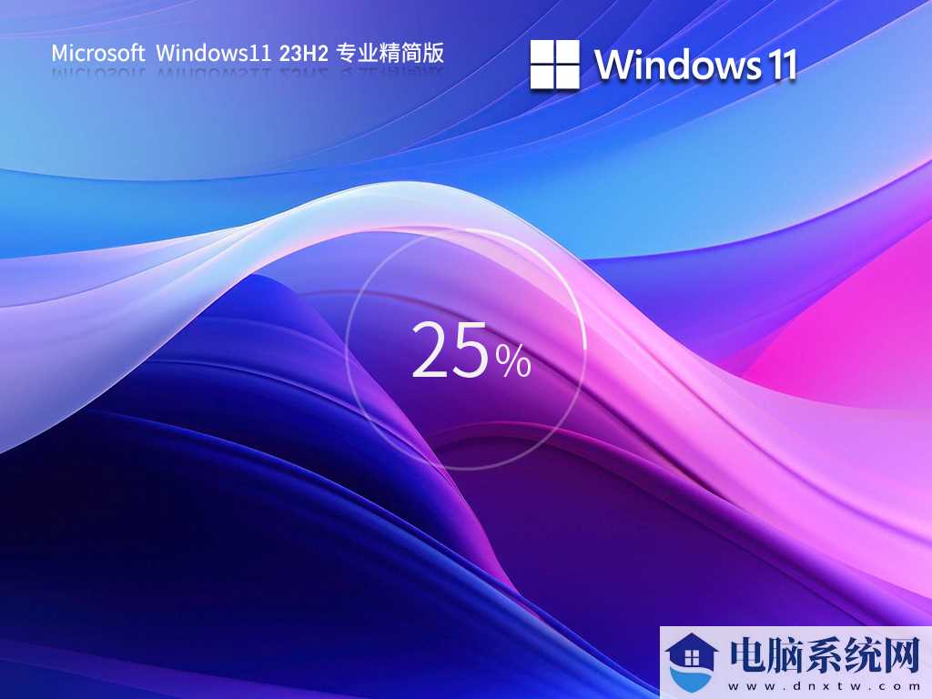 Windows11 23H2 64位 专业精简版 V2023