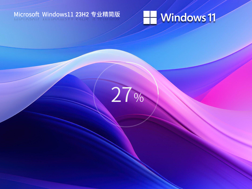【适量精简】Windows11 23H2 64位 专业精简版