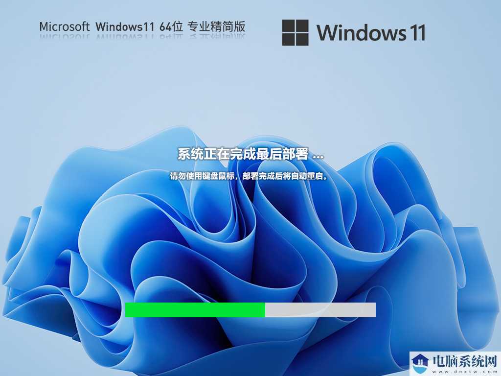 Windows11 22H2 64位 专业精简版 V2023