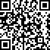 实暻飞车共享版 v3.1.241128